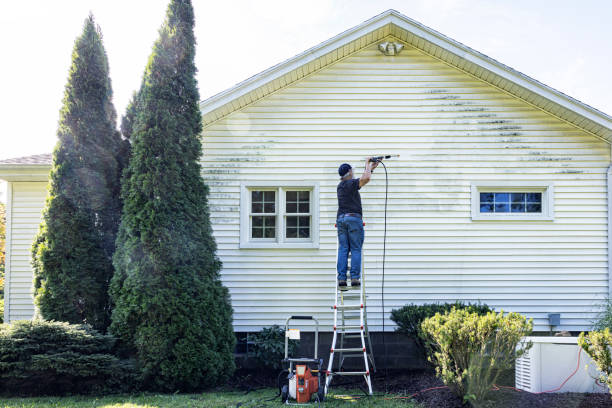 Best Roof Washing  in Marinette, WI